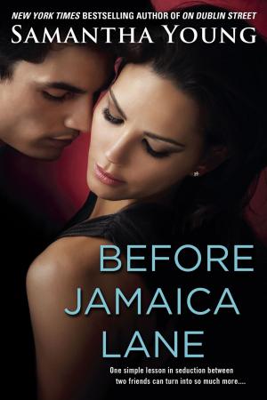 bigCover of the book Before Jamaica Lane by 