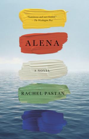 Cover of the book Alena by David Solie