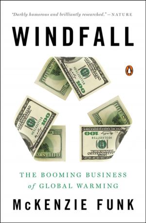 bigCover of the book Windfall by 
