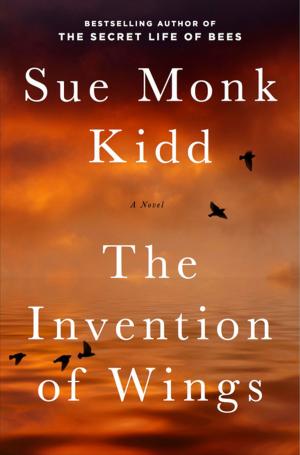 Book cover of The Invention of Wings