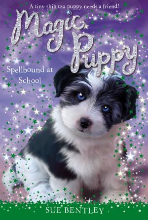 bigCover of the book Spellbound at School #11 by 