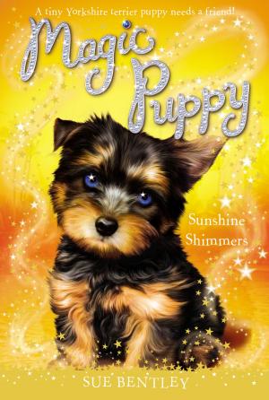 Cover of the book Sunshine Shimmers #12 by Amanda Ashby