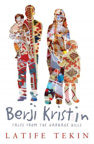 Cover of the book Berji Kristin by Noémi Szécsi