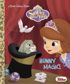 Book cover of Bunny Magic! (Disney Junior: Sofia the First)