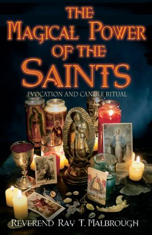 Cover of the book The Magical Power of the Saints by Robert Theiss