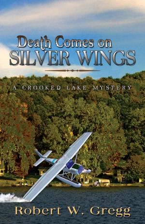 Cover of the book Death Comes on Silver Wings by William S. Frankl