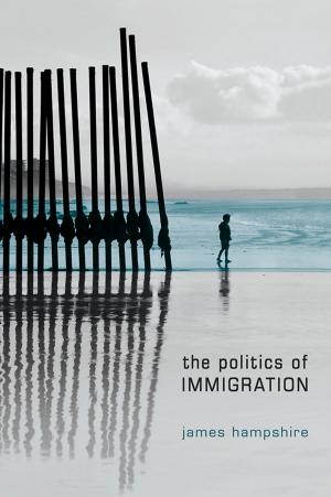 bigCover of the book The Politics of Immigration by 