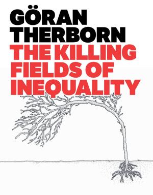 Cover of the book The Killing Fields of Inequality by Krzysztof J. Ptasinski
