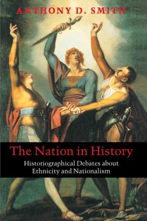 Cover of the book The Nation in History by Navid Kermani