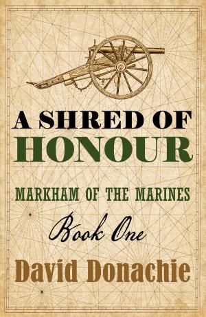 Cover of the book A Shred of Honour by Rebecca Tope