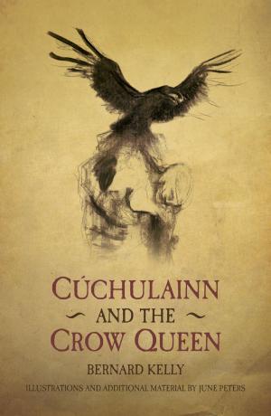 Cover of the book Cuchulainn & The Crow Queen by Robin Lumsden