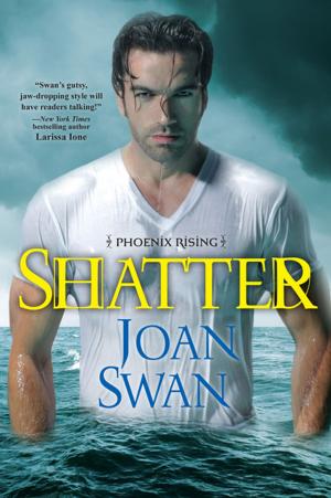 Cover of the book Shatter by Danielle Real