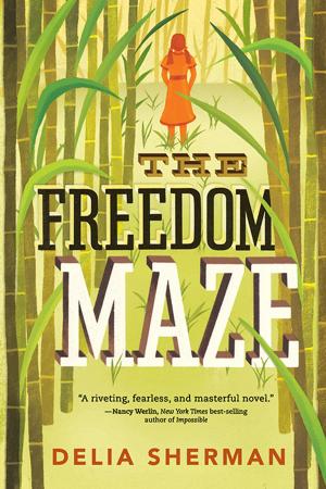 Book cover of The Freedom Maze
