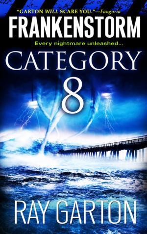Book cover of Frankenstorm: Category 8
