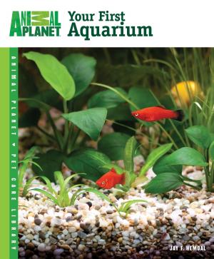 Cover of the book Your First Aquarium by Cynthia P. Gallagher