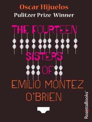Book cover of The Fourteen Sisters of Emilio Montez O'Brien