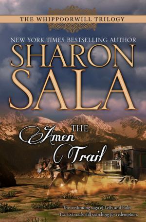Book cover of The Amen Trail