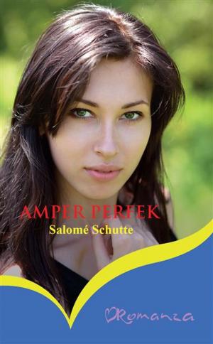 Cover of the book Amper perfek by Dina Botha