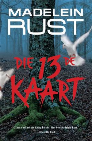 Cover of the book Die 13de kaart by Arien Lubbe