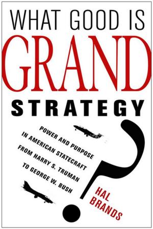 Book cover of What Good Is Grand Strategy?