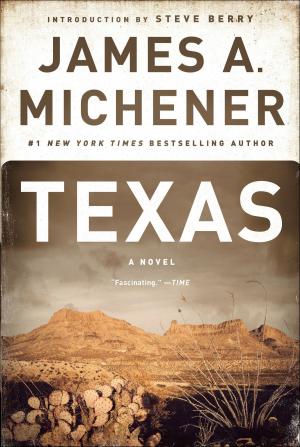 Cover of the book Texas by Steven Kay