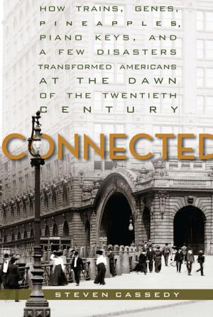 Cover of the book Connected by Stephen Schryer