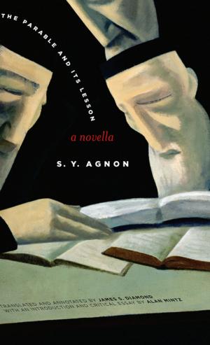 Cover of the book The Parable and Its Lesson by John  Wilson Lewis, Litai Xue