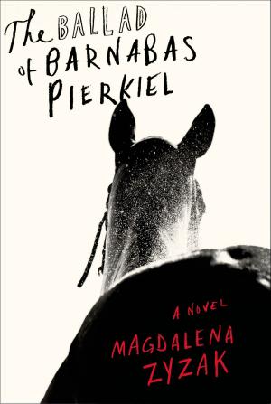 Cover of the book The Ballad of Barnabas Pierkiel by Chelsea Hodson