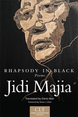Cover of the book Rhapsody in Black by Sarah Eppler Janda