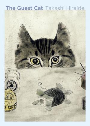 Cover of the book The Guest Cat by Horacio Castellanos Moya