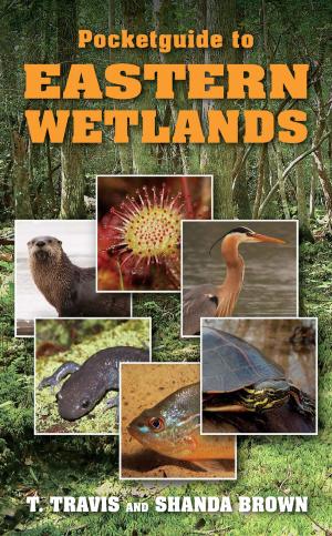 Cover of the book Pocketguide to Eastern Wetlands by Paul Molyneaux, Asher Molyneaux