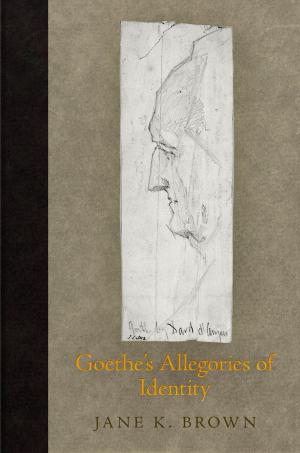 Cover of the book Goethe's Allegories of Identity by Alastair Minnis