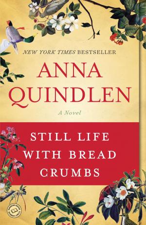 Cover of the book Still Life with Bread Crumbs by Dawn Tripp