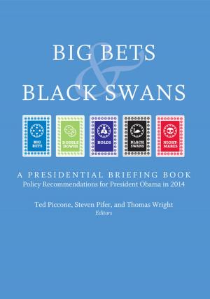 Cover of the book Big Bets and Black Swans 2014 by Harry  J. Holzer, Sandy Baum