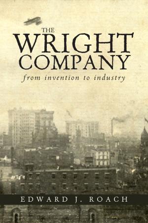 bigCover of the book The Wright Company by 
