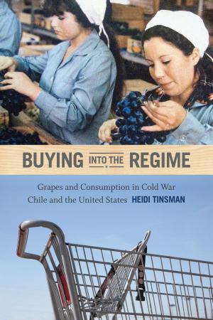 Cover of the book Buying into the Regime by Jalane D. Schmidt