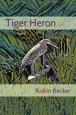 Cover of the book Tiger Heron by Michael Zeheter