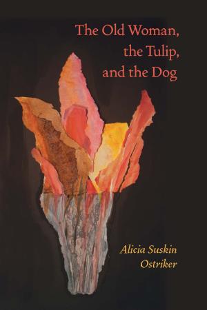 Cover of the book The Old Woman, the Tulip, and the Dog by Richard Shelton