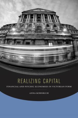Cover of the book Realizing Capital by Jules Verne, Henri de Montaut, François Pannemaker