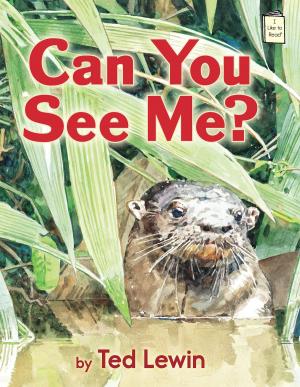 Cover of the book Can You See Me? by Betsy Byars