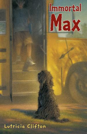 Cover of the book Immortal Max by Mary Amato