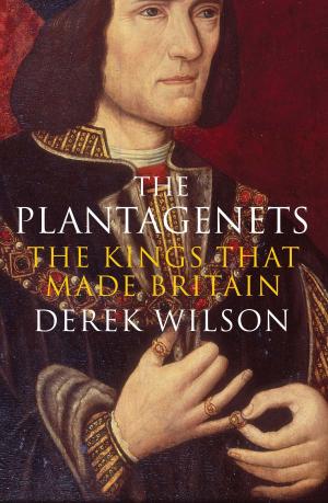 Cover of the book The Plantagenets by Isabel Rimanoczy, Ernie Turner