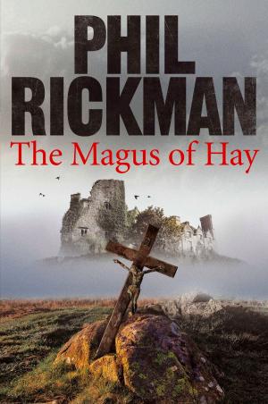 Book cover of The Magus of Hay