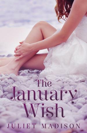 Cover of the book The January Wish (Tarrin's Bay, #1) by Cate Ellink