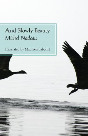 Cover of the book And Slowly Beauty by Michel Tremblay