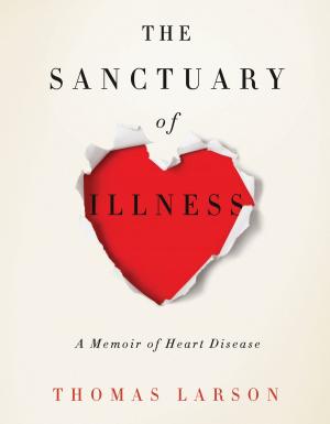 Cover of the book The Sanctuary of Illness by Debbie Young