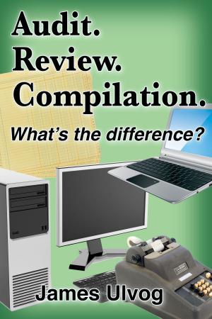 Cover of the book Audit. Review. Compilation. What's the Difference? by Christian Flick, Mathias Weber