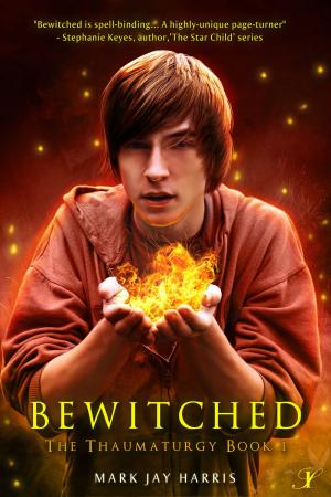Book cover of Bewitched