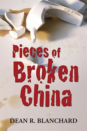 Book cover of Pieces of Broken China