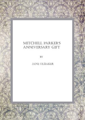 Book cover of Mitchell Parker's Anniversary Gift
